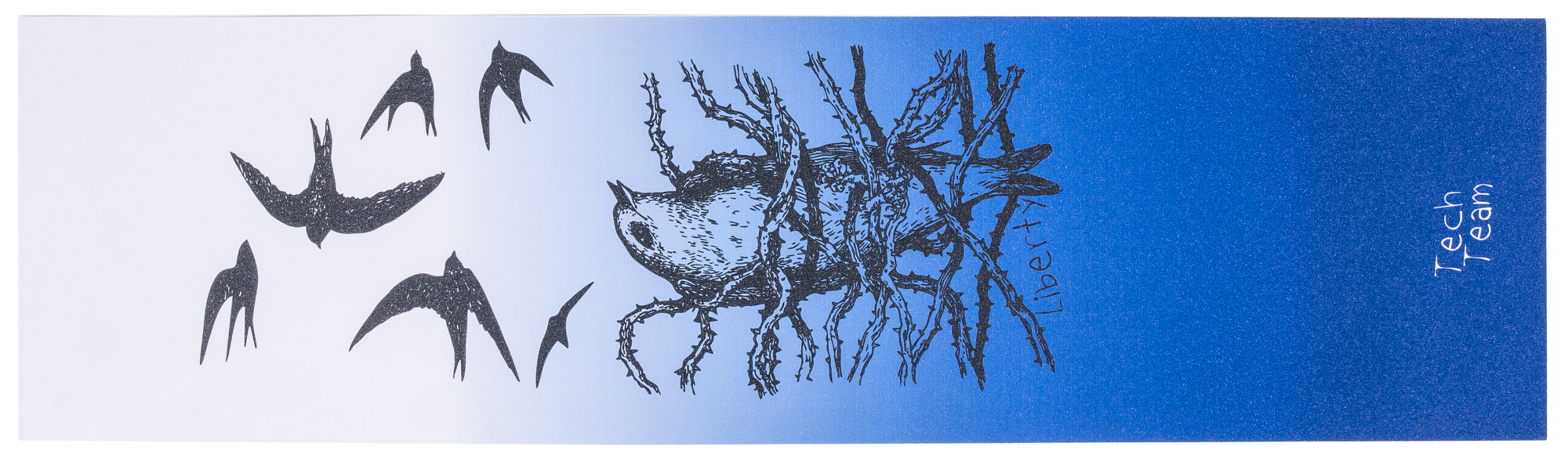 Шкурка для скейтборда, 33х9 Liberty LIBERTY